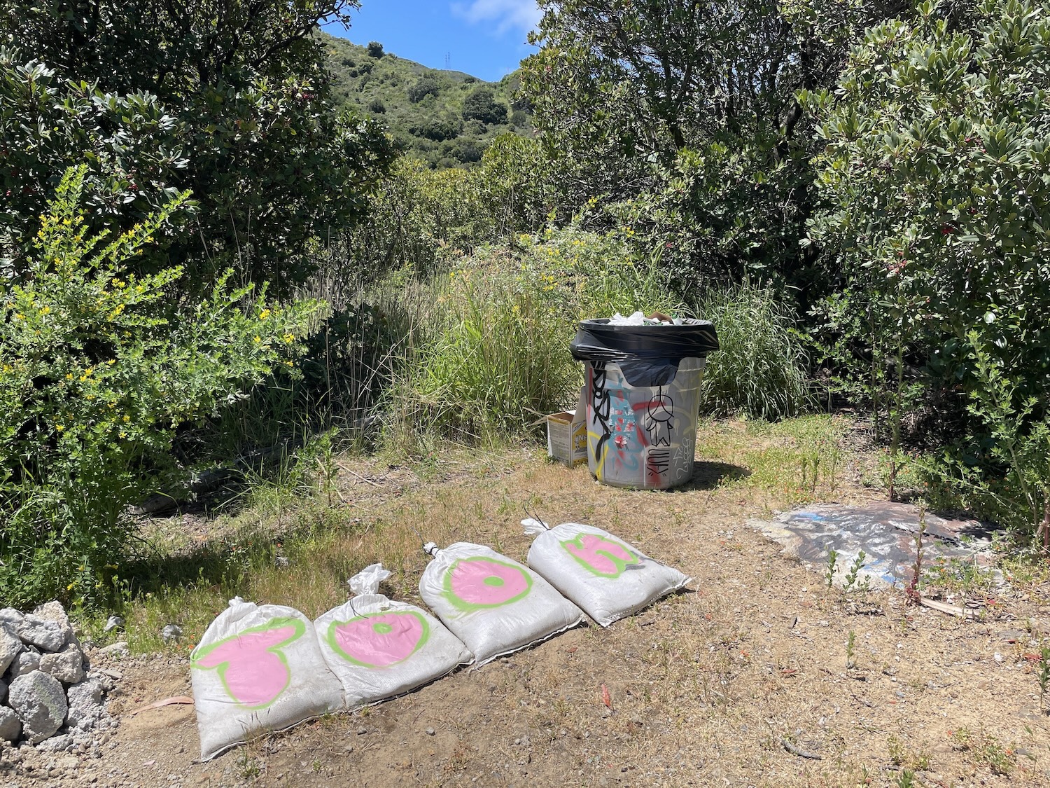 Quarry DIY skatepark